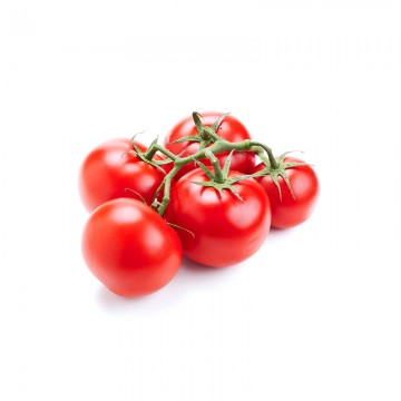 Tomate Rama