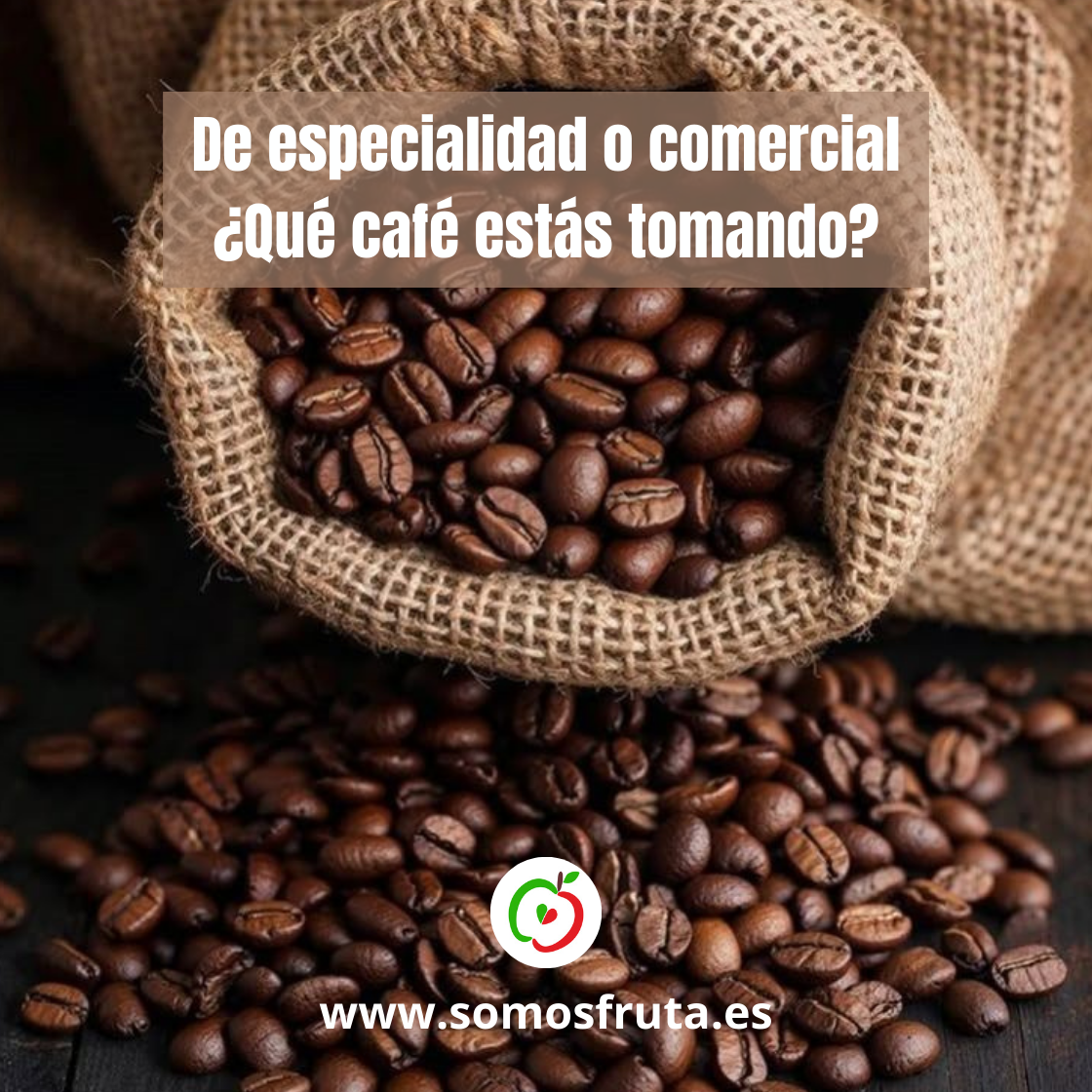 De especialidad o comercial: ¿qué café estás tomando?