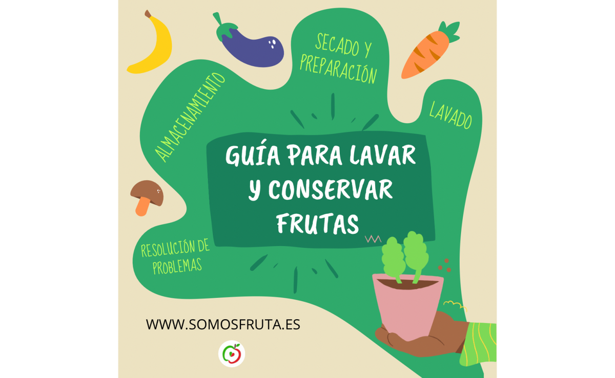 Guía completa para lavar y almacenar frutas