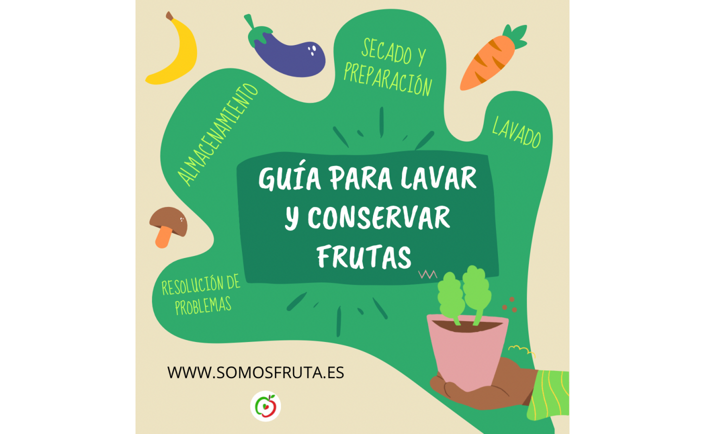 Guía completa para lavar y almacenar frutas