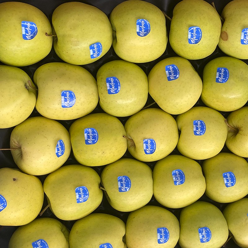 Manzana Golden