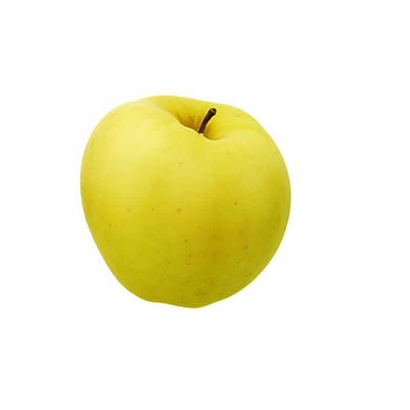 Manzana Golden