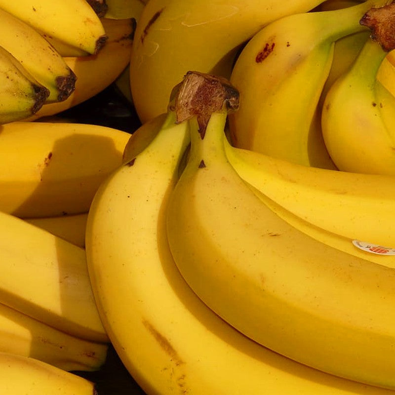 Plátanos de Canarias