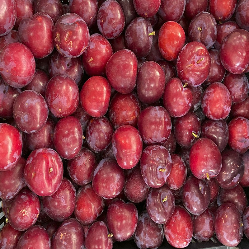 Ciruela Roja