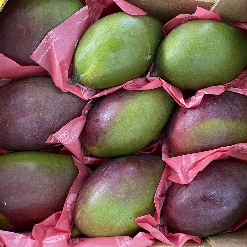 Mango Nacional
