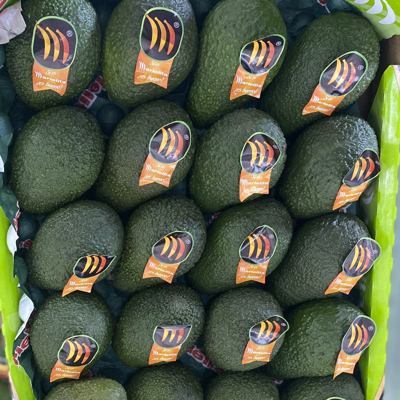 Aguacate Hass