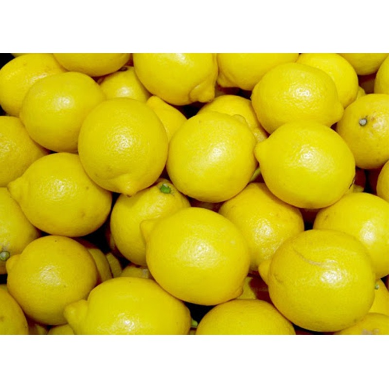 Limón