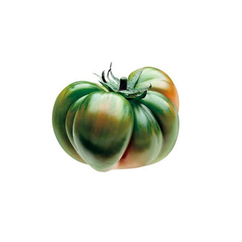 Tomate Raf