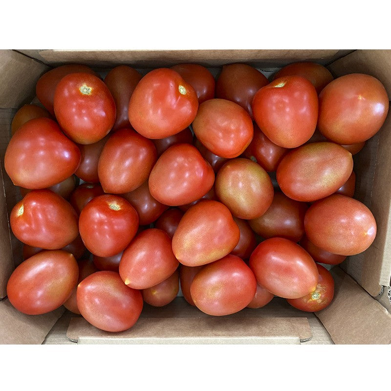 Tomate Pera