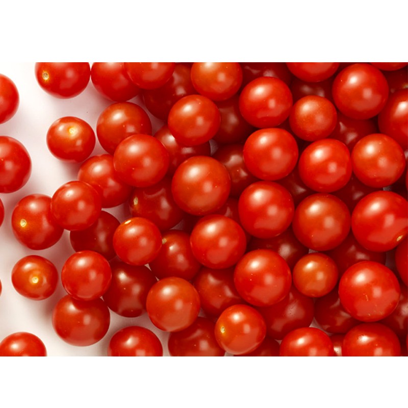 Tomate Cherry Rama
