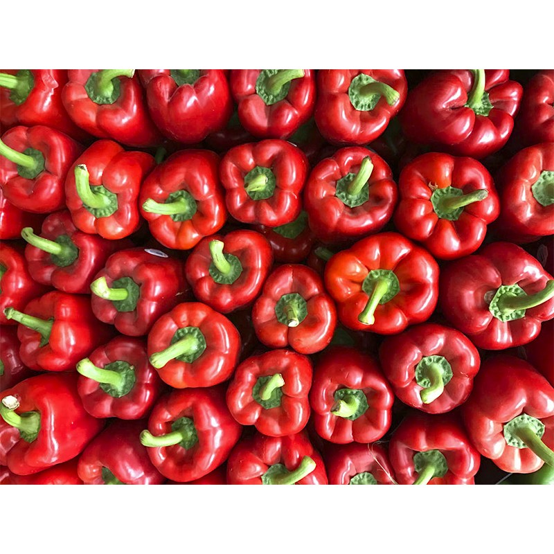 Pimiento Rojo