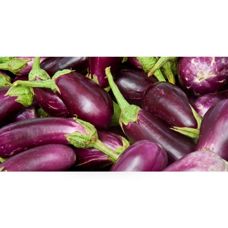 Berenjena