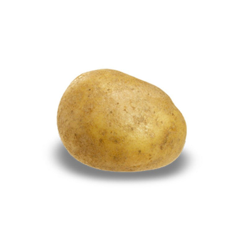 Patata