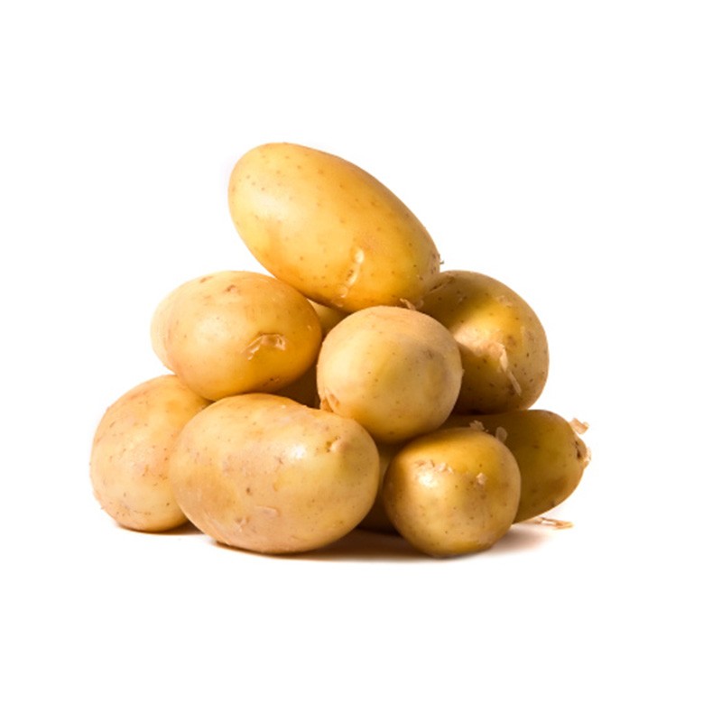 Patata