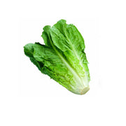Lechuga