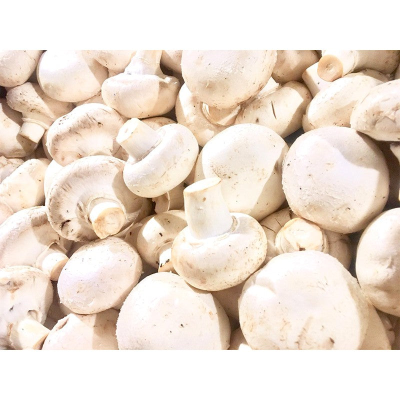 Champiñones