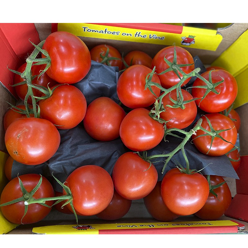 Tomate Rama