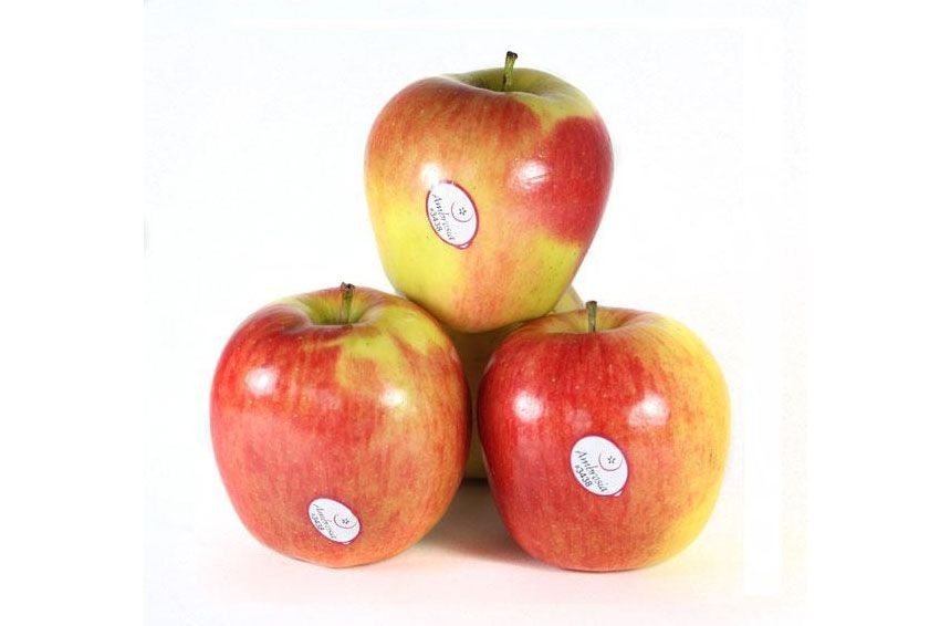Manzana Ambrosia
