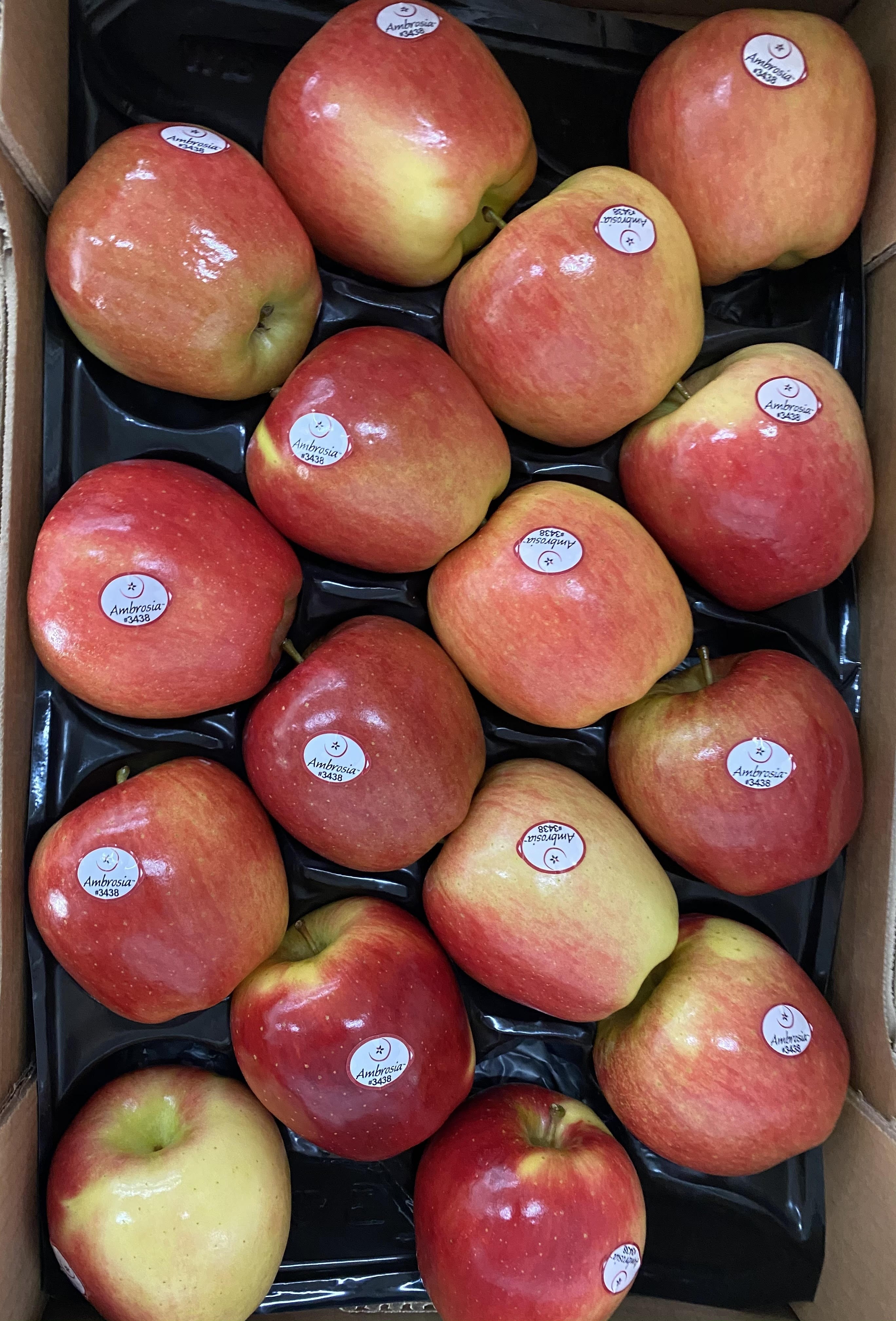 Manzana Ambrosia