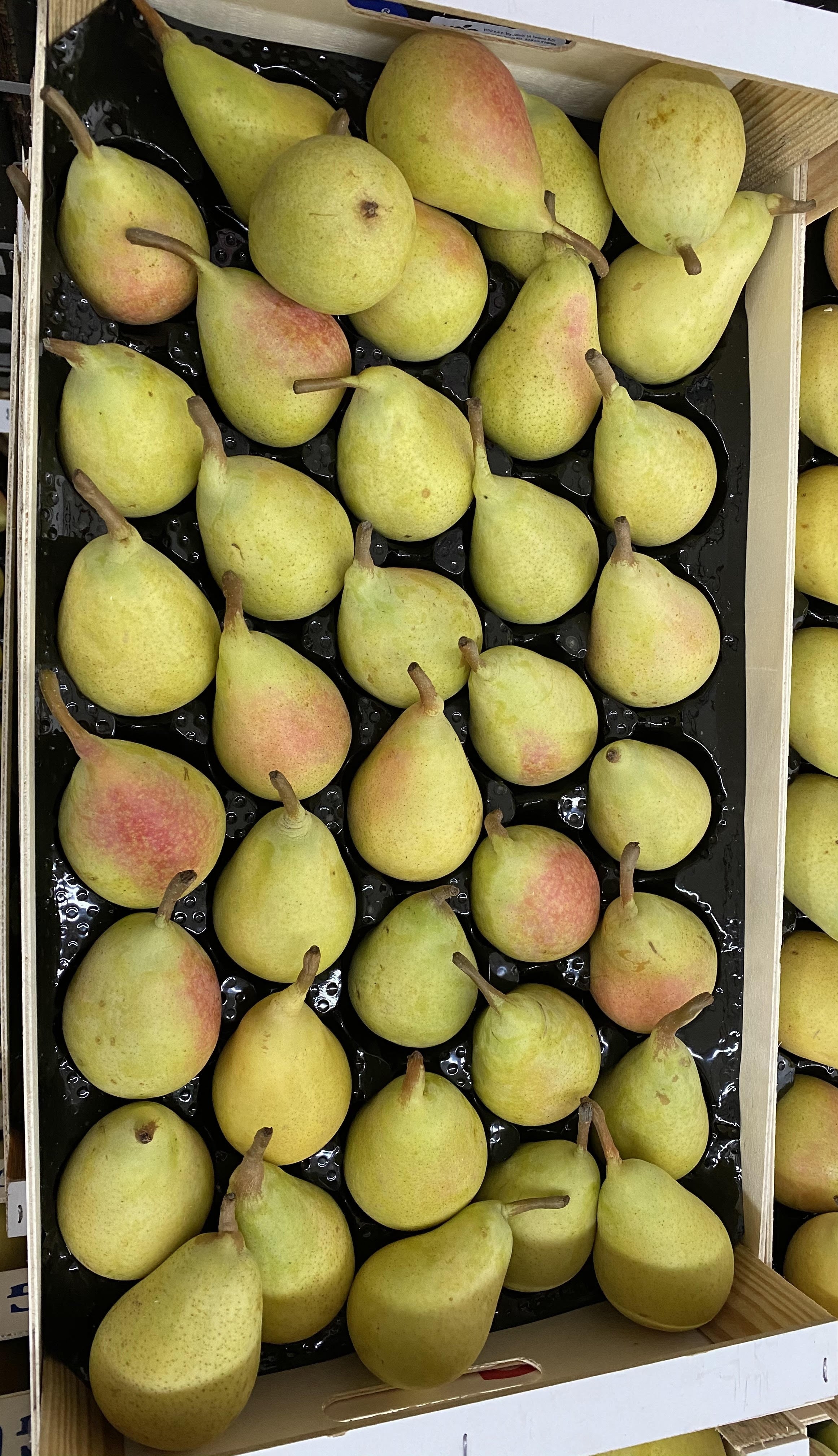 Pera Ercolina