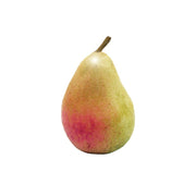 Pera Ercolina