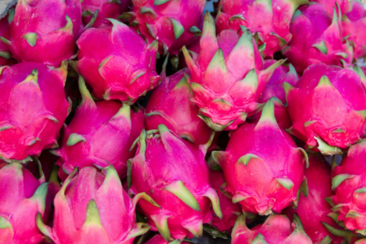 Pitahaya
