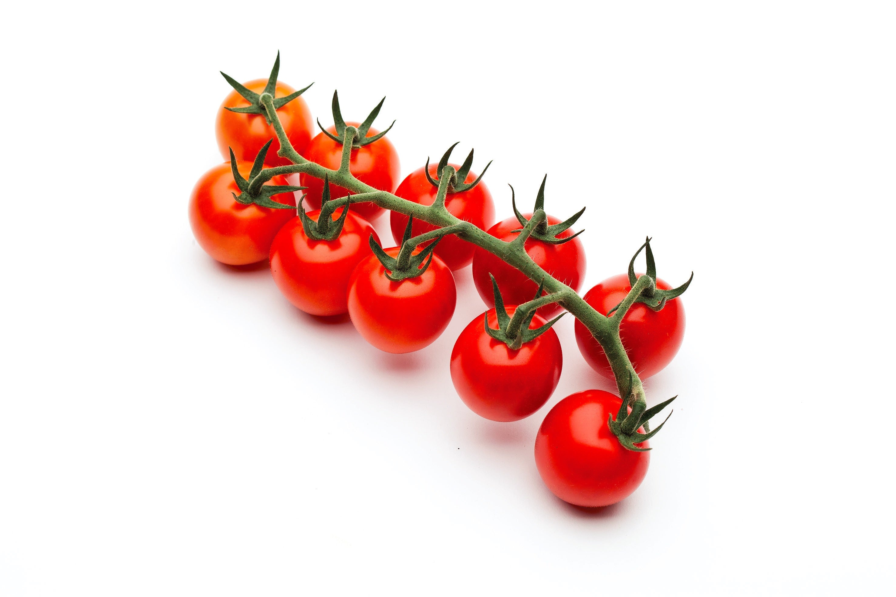 Tomate Cherry Rama