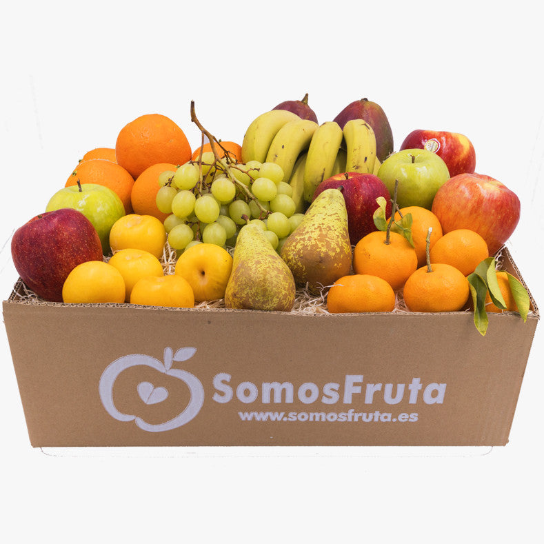 Pack Oficina Fruta MAXI