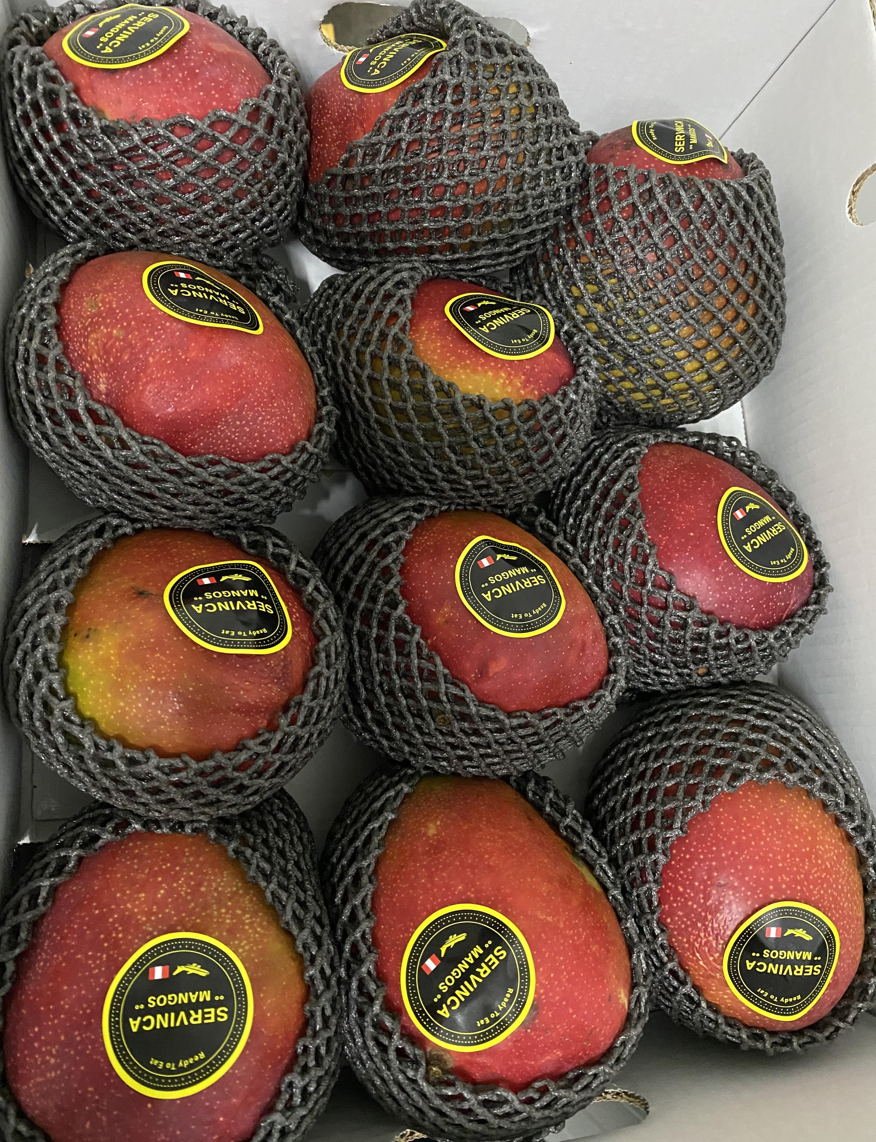 Mango de Avión