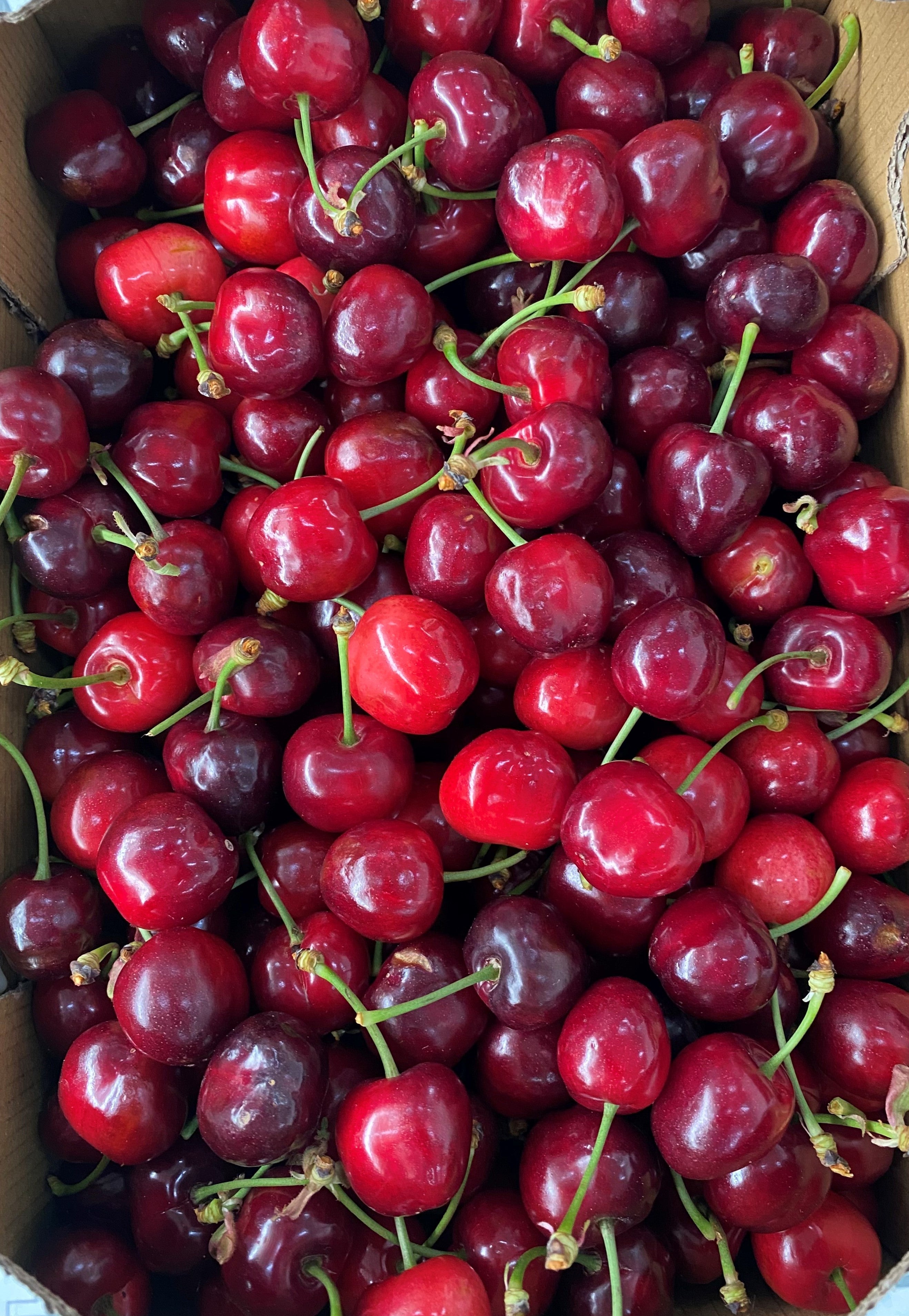 Cerezas de la montaña de Alicante