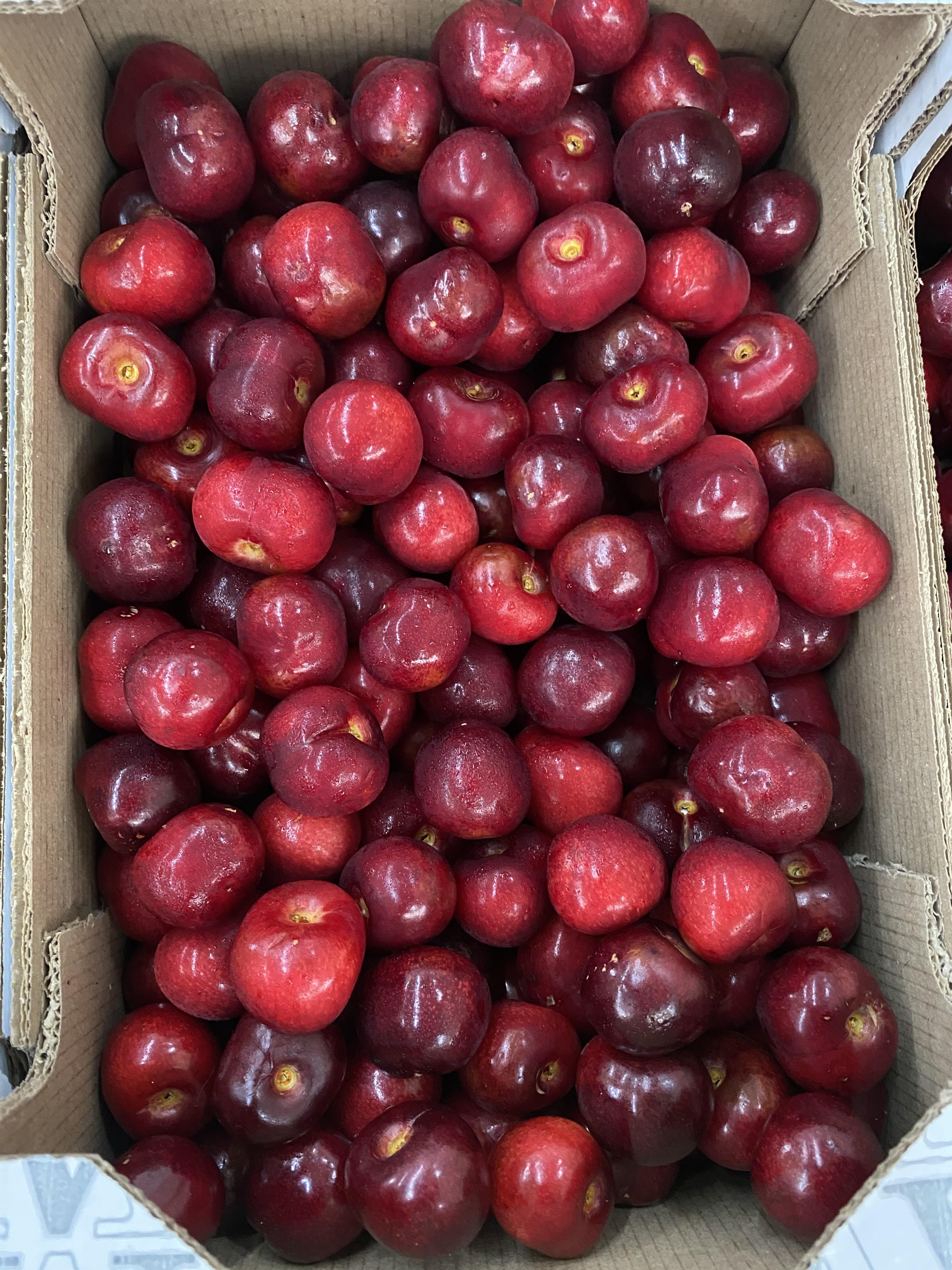 Cereza Picota