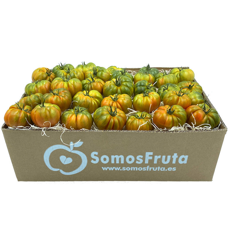 Tomate Raf