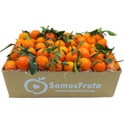 Caja de Mandarina Orri de Valencia 9 kg