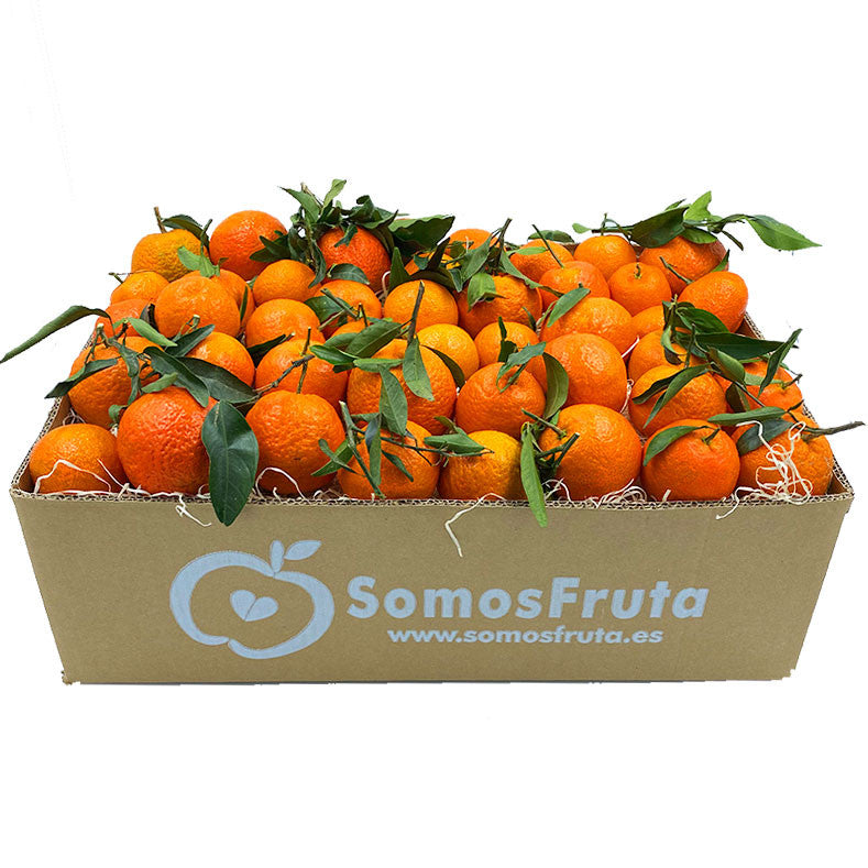 Mandarina de Valencia