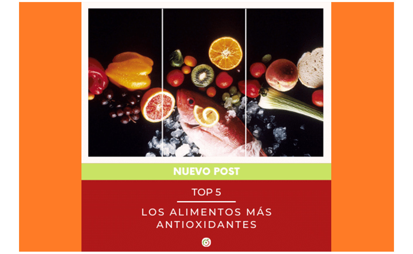 LOS CINCO ALIMENTOS MÁS ANTIOXIDANTES