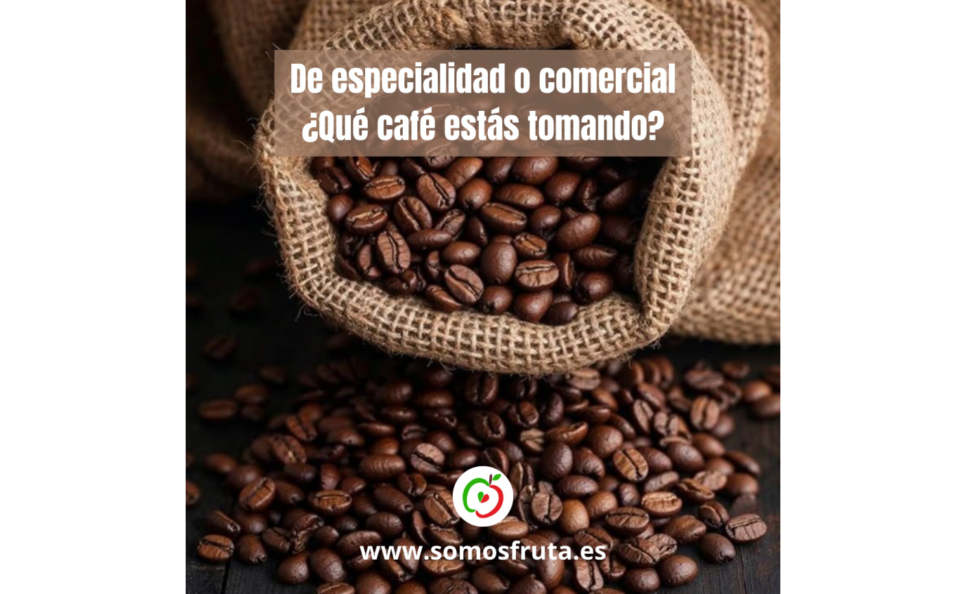 De especialidad o comercial: ¿qué café estás tomando?
